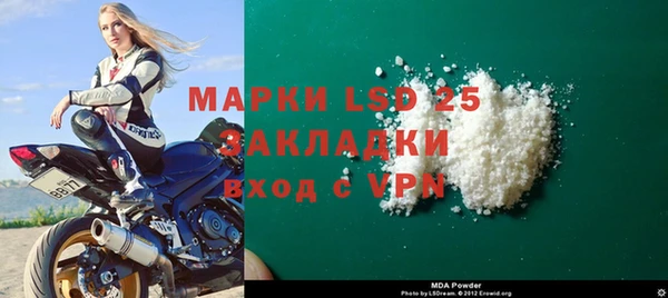 PSILOCYBIN Верея