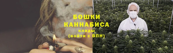 PSILOCYBIN Верея