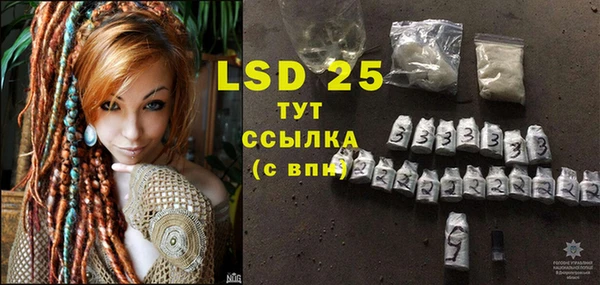 PSILOCYBIN Верея