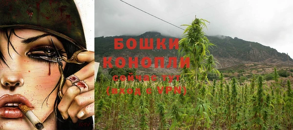 PSILOCYBIN Верея
