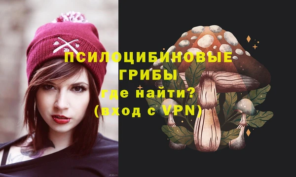 альфа пвп Верхнеуральск