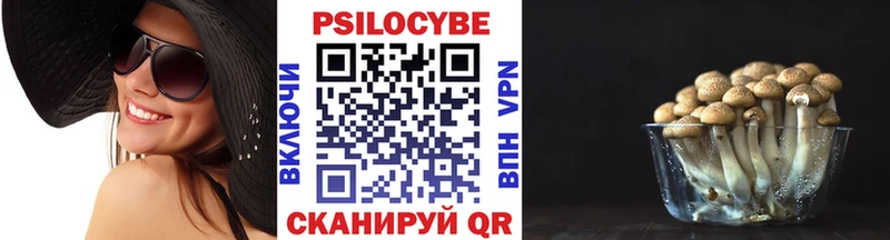 Псилоцибиновые грибы Psilocybine cubensis  купить наркоту  Самара 